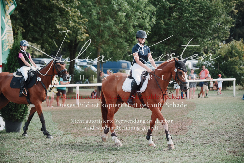 DSC_5590 | Pferde- und Turnierfotografie in Westsachsen. Pferdeportraits, Auftragszeichnungen und intuitive Kunst.