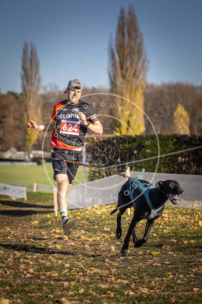CaniXpix_DV3A9981 | Hundefotografie, Tierfotograf, Pfotenfotografie, Fotoshooting Hund, Hunde Portrait, Hundesport, Hundeportraits, Heideshooting, Hunde, Sportfotograf, Hundefotograf, Turnierhundsport, THS,  - Realisiert mit Pictrs.com