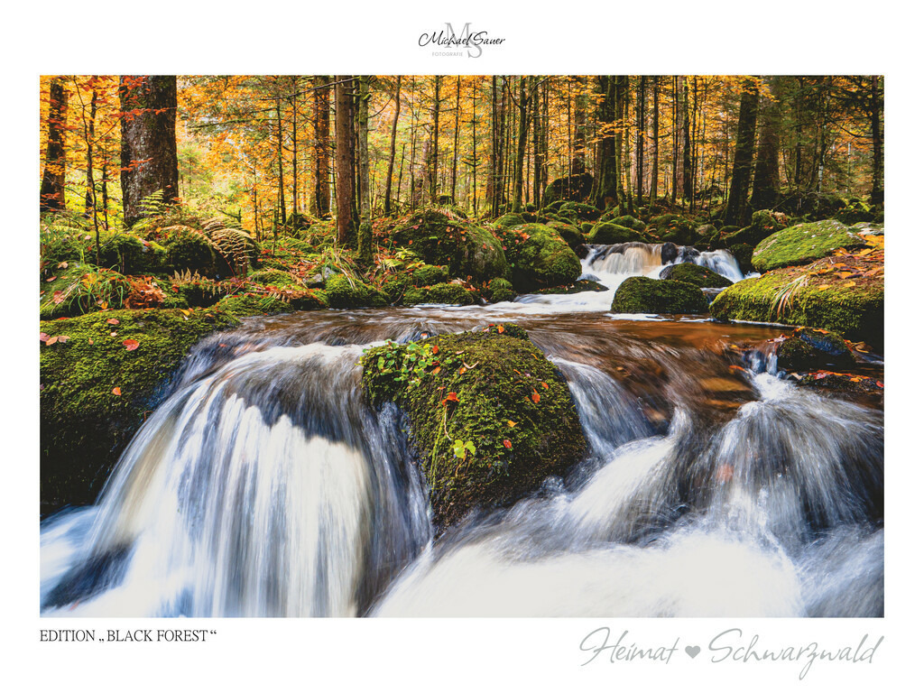 Edition "BLACK FOREST" | Motiv: Elzfälle am Rohrhardsberg, Schwarzwald. Die beliebtesten Fotografien aus dem Schwarzwald als signierte Sonderedition. Eine exklusive Wanddekoration für alle Liebhaber von traumhaften Schwarzwaldlandschaften. Hochwertige Wandbilder in brillanter Druckqualität auf Acrylglas, Alu-Dibond und Leinwand für Ihr Zuhause – inklusive rückseitige Aufhängung.
 - Realisiert mit Pictrs.com