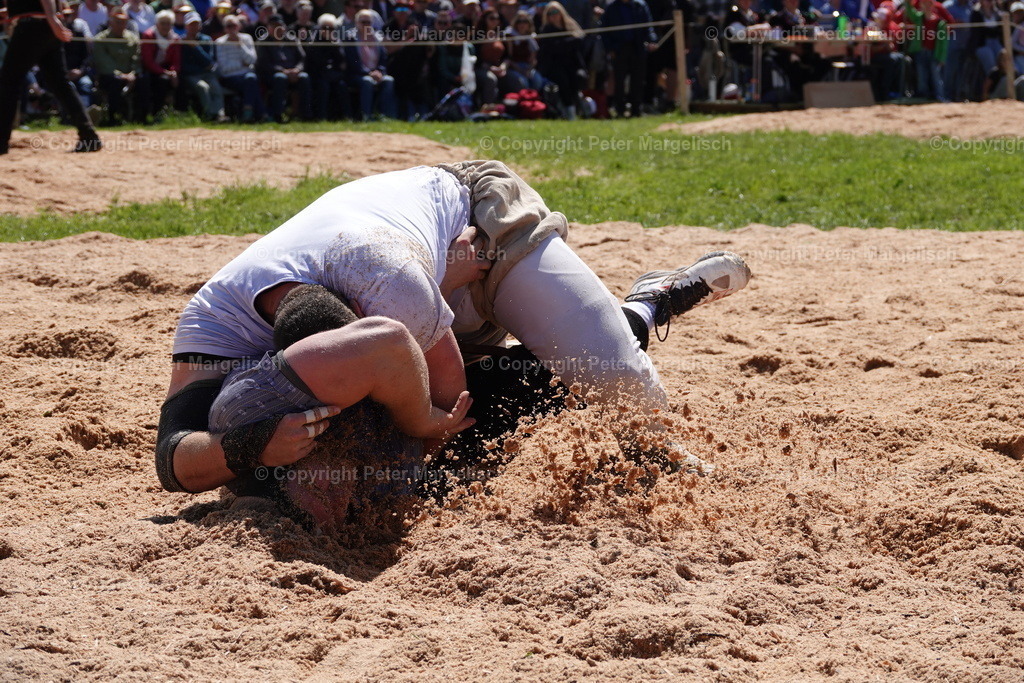 DSC00993 | Schwingen - Realisiert mit Pictrs.com