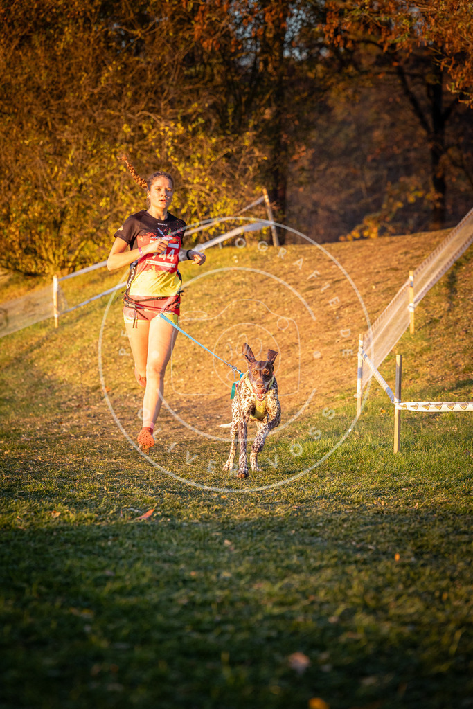 CaniXpix_0L8A1928 | Hundefotografie, Tierfotograf, Pfotenfotografie, Fotoshooting Hund, Hunde Portrait, Hundesport, Hundeportraits, Heideshooting, Hunde, Sportfotograf, Hundefotograf, Turnierhundsport, THS,  - Realisiert mit Pictrs.com
