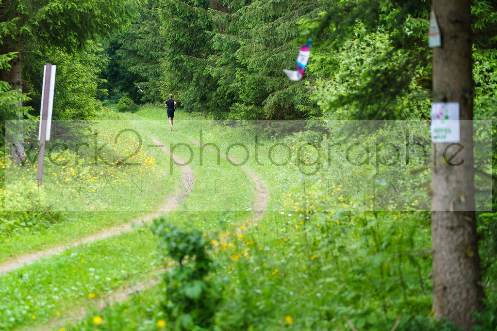 Rennsteig-Staffellauf | 24. Staffellauf - 22.06.2024 von Hörschel nach Blankenstein