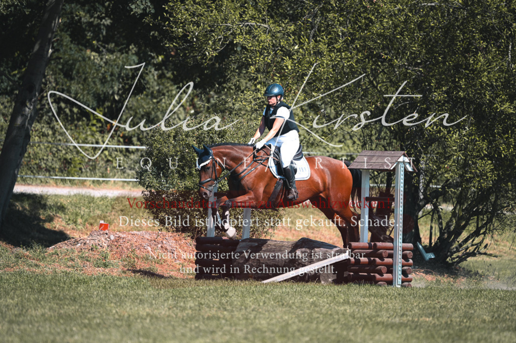 DSC_8148 | Pferde- und Turnierfotografie in Westsachsen. Pferdeportraits, Auftragszeichnungen und intuitive Kunst.
