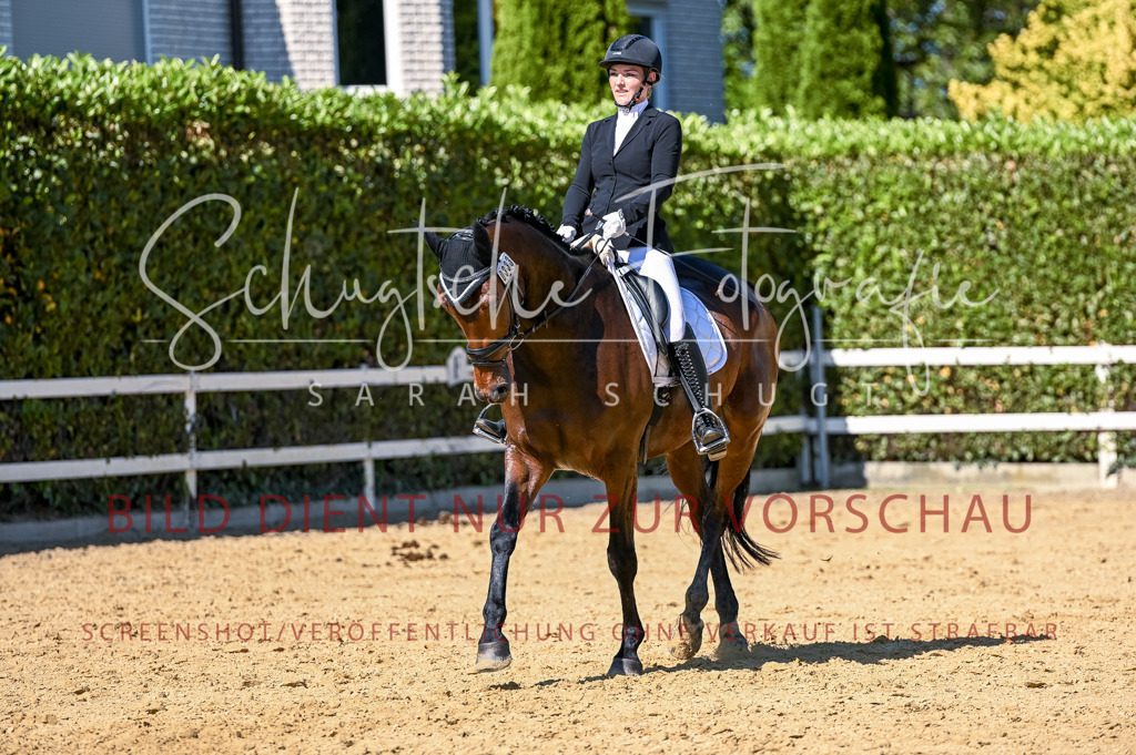 Schugtsche-Aluta25-50.Dressurpferdeprf.L-160 | Schugtsche Fotografie - Realisiert mit Pictrs.com