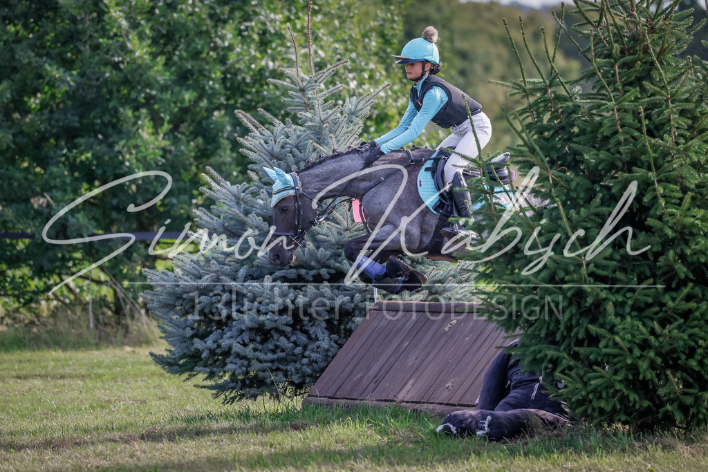 20250907-_3LI9216 | Tierfotografie Pferde, Hunde, Katzen, Haustiere.
Turnierfotografie Reitturniere, Reiten, Springreiten, Dressur in Hanau, dem Main-Kinzig-Kreis und dem Rhein-Main- Gebiet um Frankfurt