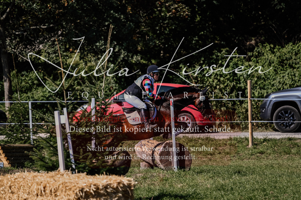 DSC_1569 | Pferde- und Turnierfotografie in Westsachsen. Pferdeportraits, Auftragszeichnungen und intuitive Kunst.