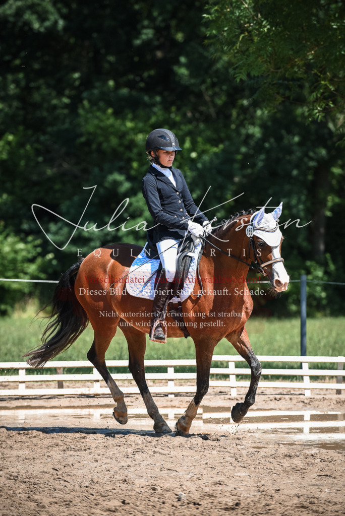 DSC_3174 | Pferde- und Turnierfotografie in Westsachsen. Pferdeportraits, Auftragszeichnungen und intuitive Kunst.