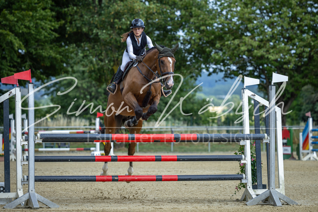 20260704-_3LI2059 | Tierfotografie Pferde, Hunde, Katzen, Haustiere.
Turnierfotografie Reitturniere, Reiten, Springreiten, Dressur in Hanau, dem Main-Kinzig-Kreis und dem Rhein-Main- Gebiet um Frankfurt