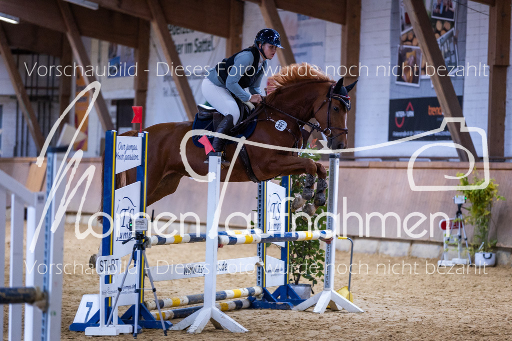 Sth-Gewöhnung-004 | MomenTaufnahmen Pferdesportfotos