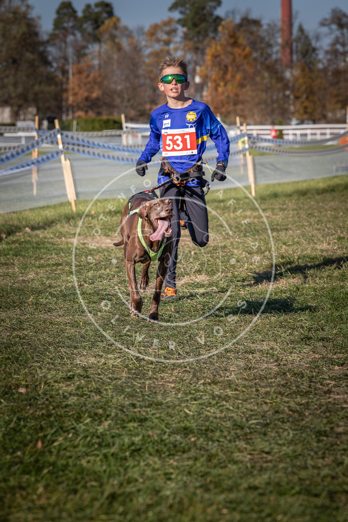 CaniXpix_0L8A7377 | Hundefotografie, Tierfotograf, Pfotenfotografie, Fotoshooting Hund, Hunde Portrait, Hundesport, Hundeportraits, Heideshooting, Hunde, Sportfotograf, Hundefotograf, Turnierhundsport, THS,  - Realisiert mit Pictrs.com
