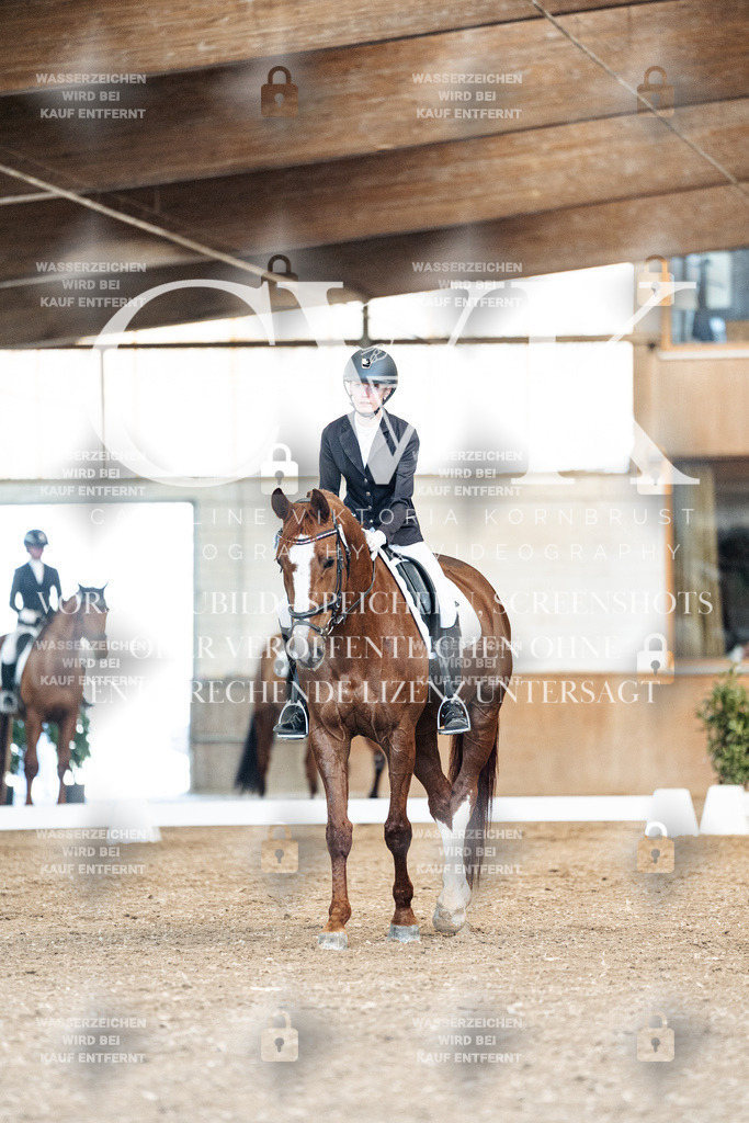 CK901000 | Turnierfotografie Pferdefotografie Trier Rheinland-Pfalz Pferdesport Reitsport Tierfotografie Sportfotografie Pferdevideo Pferdevideografie Equestrianvideography equestrianphotography  - Realisiert mit Pictrs.com