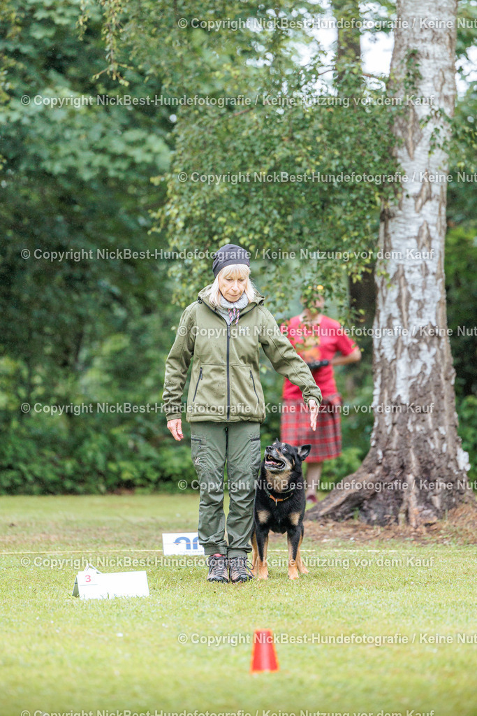 RO-Blumenthal-2026-Nickbest-Hundefotografie-0014 | Dein Hund! Dein Moment! Deine Erinnerungen! Hundefotografie in Bremen Blumenthal. Ich fange die besonderen Momente deines Vierbeiners ein – ob Indoor mit Blitzanlage oder in der freien Natur. Sicher dir dein Moment und dein Termin für eure Erinnerungen.