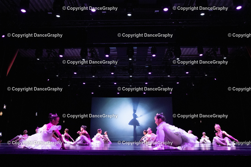 GPHY6459 | DanceGraphy - Realisiert mit Pictrs.com