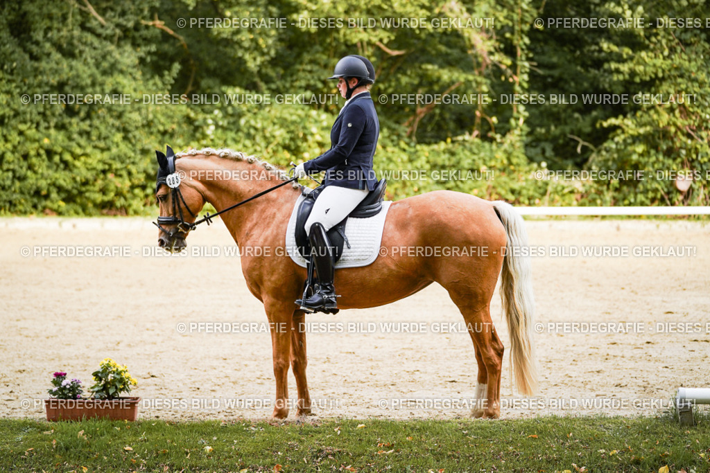 DSC09375 | Pferdegrafie