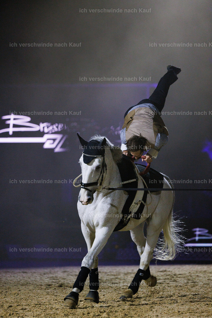 FHClassics-194 | working equitationturnier fotograf videograf stoibphotography marixx film working equitation deutschland reitsport turnierfotografie eventfotografie equestrian events