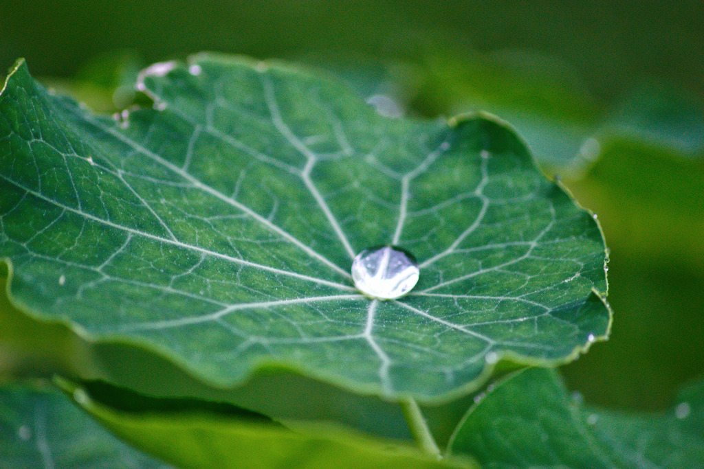 IMG_6697 | <meta name="keywords" content="Bergbilder, Hochzeitsfotografie, Actionshootings, Fotografiearbeiten, Berglandschaften, Naturfotografie">

 - Realisiert mit Pictrs.com