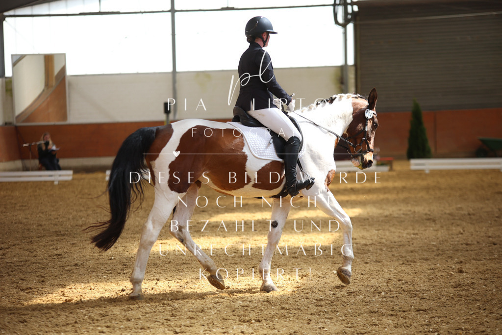 IMGT4633 | pl-fotografie