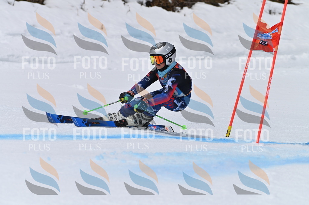 BGV_4337 | holidayphoto