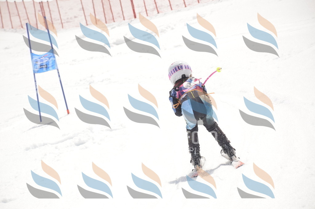 _ELE9209 | holidayphoto