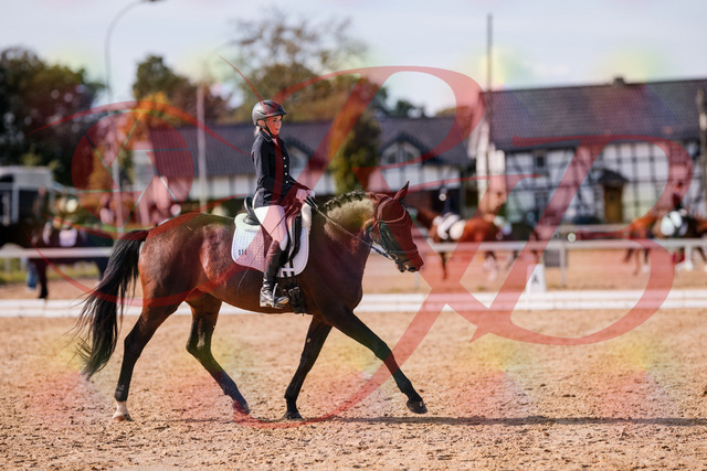 2026_10_03_Siefer-Hof_133826_Z81_96191760 | Professionelle Reitsport-, Turnier- und Eventfotografie von Robert Broda. Galerien mit ausgewählten und bearbeiteten Bildern direkt online ansehen und bestellen.
