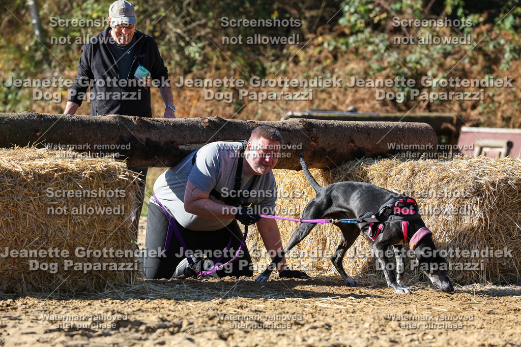 Dog Paparazzi - Strongdog 10-25-2846 | Dog Paparazzi Jeanette Grottendiek Fotografie & Videografie - Realisiert mit Pictrs.com