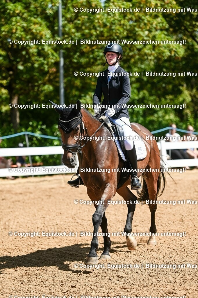 20230715_02_Dressurreiterprüfung Kl.L_0092 | equistock