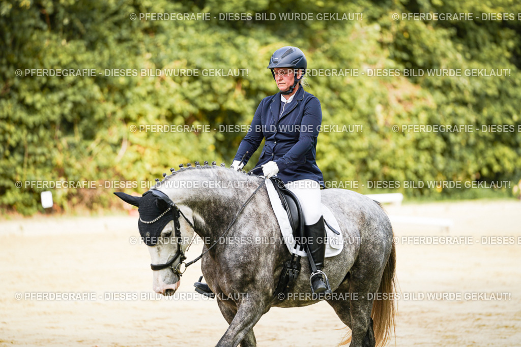 DSC01622 | Pferdegrafie