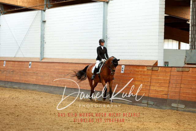 _62_4897 | Turniersportfotografie; Pferdefotografie; Dressurfotografie