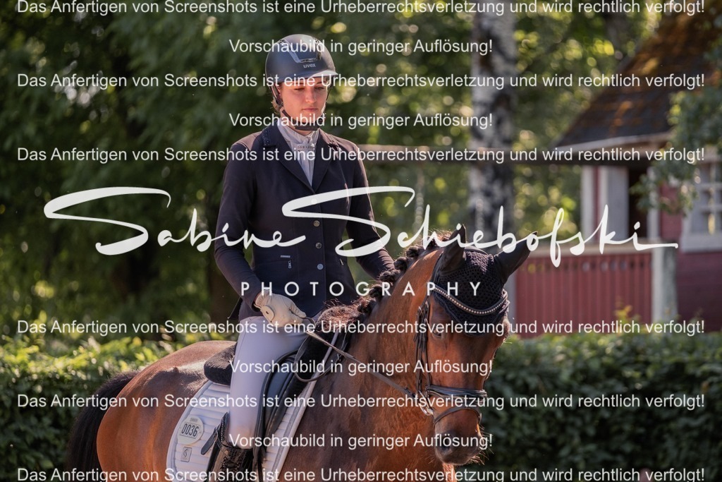 2025_05_31_DSCF3114 | People- und Tierfotografie, Imageaufnahmen, Veranstaltungsfotografie und Wandbilder aus der Natur ★ Made in Germany ✔️ Druck + Downloads ✔️ Naturfotografie in Top Qualität ★ schneller Versand, weltweite Lieferung! - Realisiert mit Pictrs.com