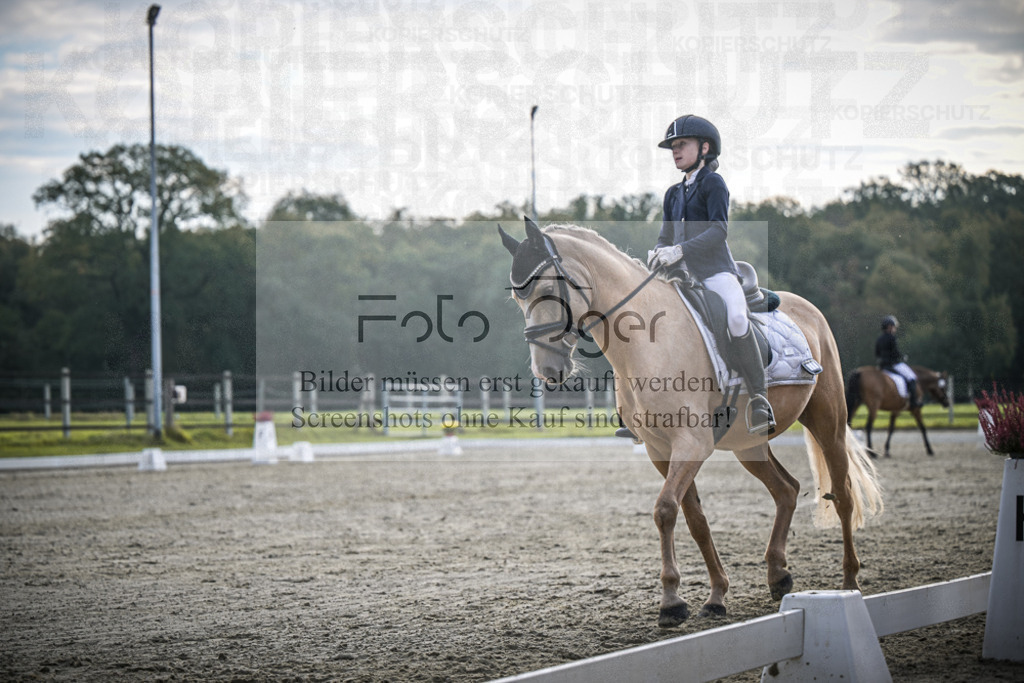 DOS_4596 | Entdecke hochwertige Reitturnierfotos von Foto Oger. Professionell, emotional und authentisch – jetzt Lieblingsmomente im Shop bestellen.Deutschlandweite Turnierfotografie. - Realisiert mit Pictrs.com