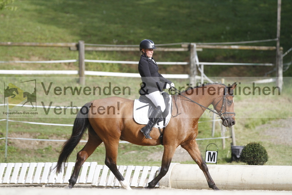 _MG_0127 | equestrian-live-com