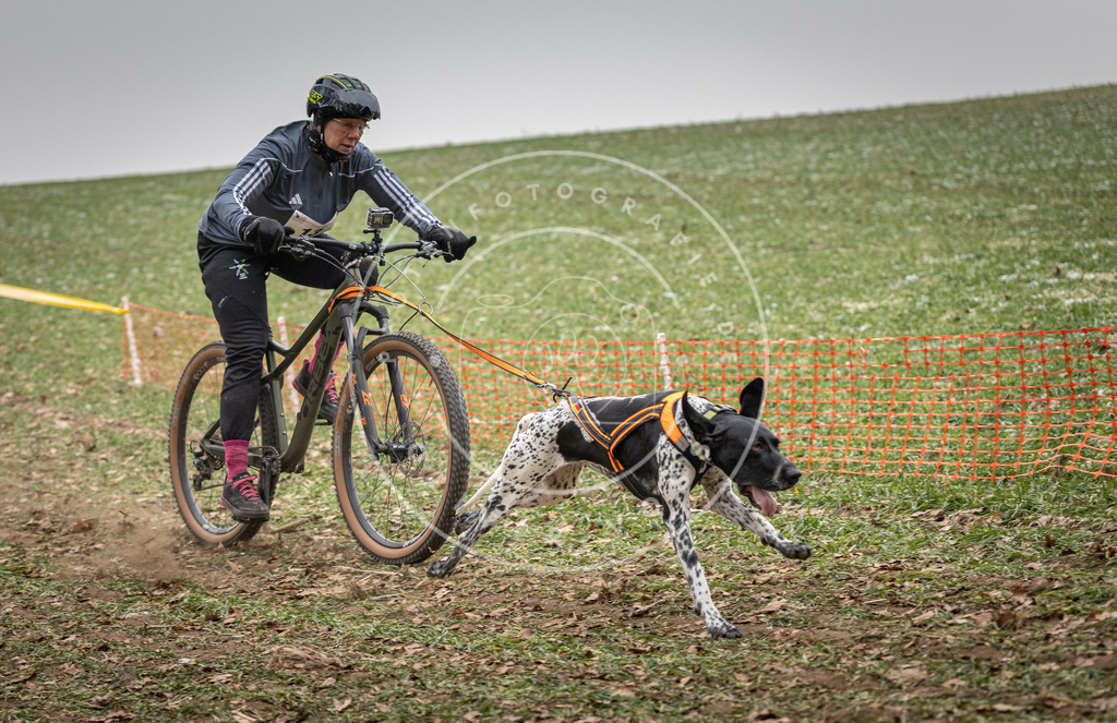 Pfotenfotografie_DV3A2460 | Hundefotografie, Tierfotograf, Pfotenfotografie, Fotoshooting Hund, Hunde Portrait, Hundesport, Hundeportraits, Heideshooting, Hunde, Sportfotograf, Hundefotograf, Turnierhundsport, THS,  - Realisiert mit Pictrs.com