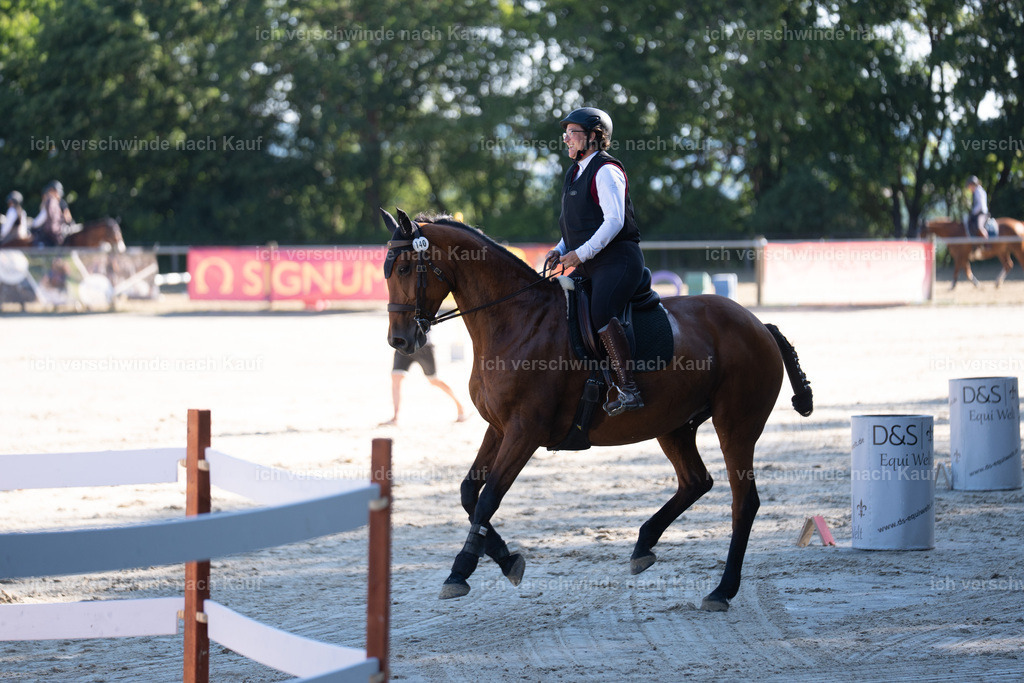 WL_SP_140_SinaFilmArt_IN05505 | working equitationturnier fotograf videograf stoibphotography marixx film working equitation deutschland reitsport turnierfotografie eventfotografie equestrian events
