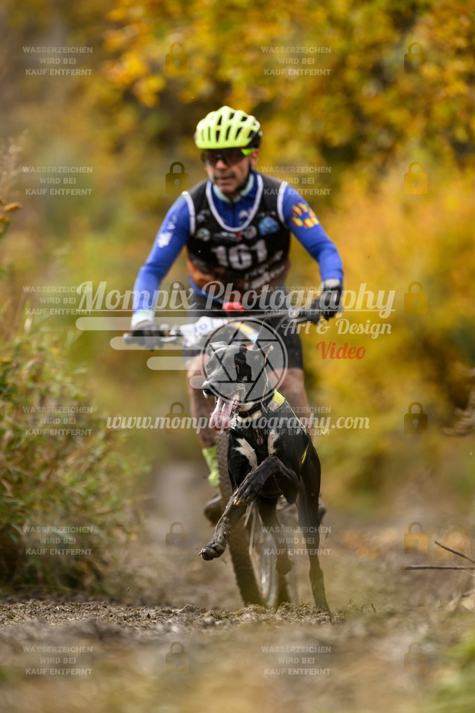 MompixPhotography_ICF_WC_2024_SA_Bike_-207 | PayLife