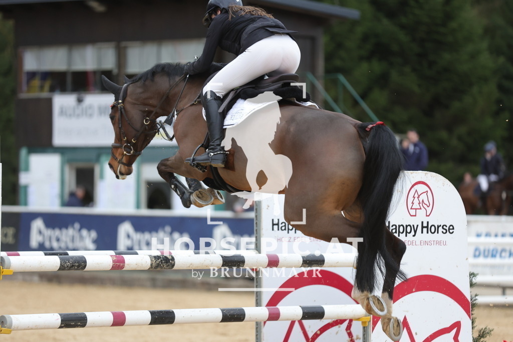 0P6A4368 | Willkommen bei Brunnmayr - Design & Fotografie – Ihrem Spezialisten für Reitturniere und Pferdeveranstaltungen in Oberösterreich, Salzburg und Bayern! Seit über 17 Jahren sind wir leidenschaftlich dabei.