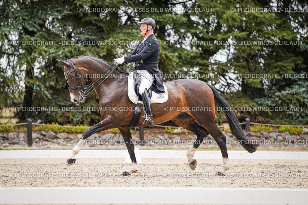 DSC06890 | Pferdegrafie