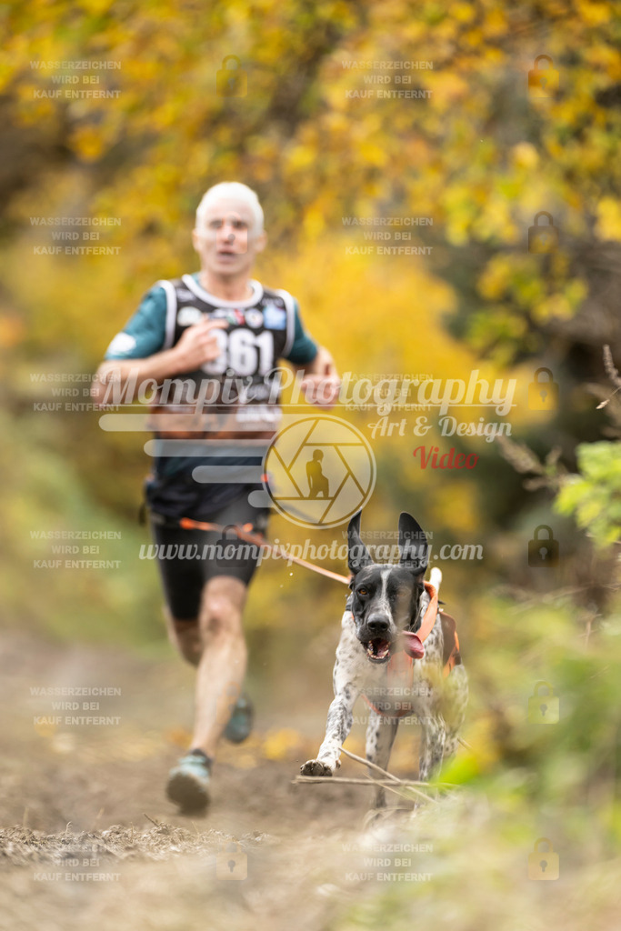 MompixPhotography_ICF_WC_2024_SA_Run_-281 | PayLife