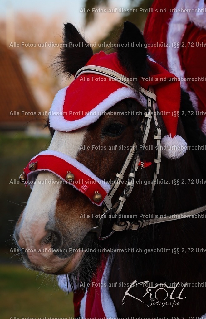Photo_1735055741949 | krollfotografie - Realisiert mit Pictrs.com