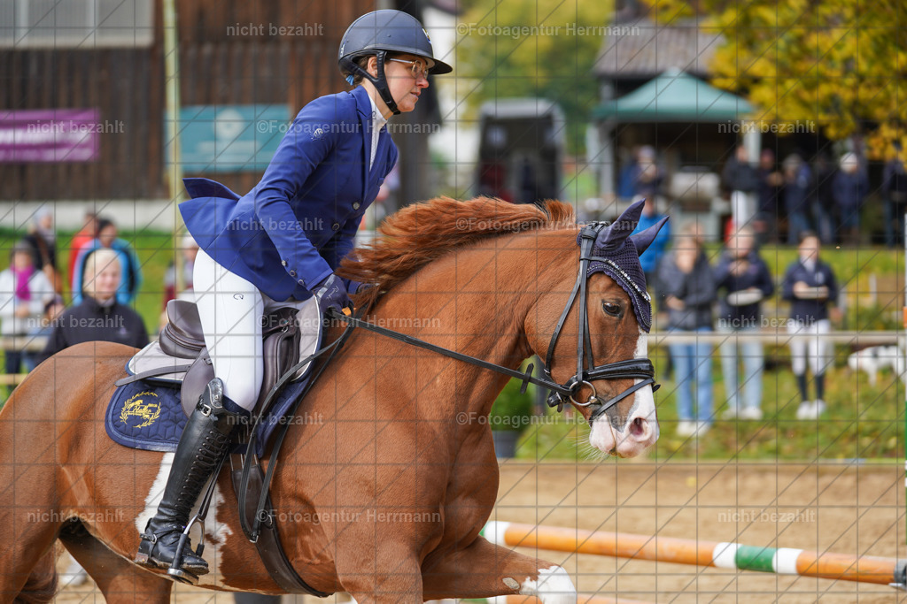 20221009-FAH08503 | Diessen am Ammersee, 2022, Dressur- und Springturnier, Reitsportbilder, Turnierfotografen Bayern, Pferdefotografen, Fotoagentur Herrmann, Turnierbilder