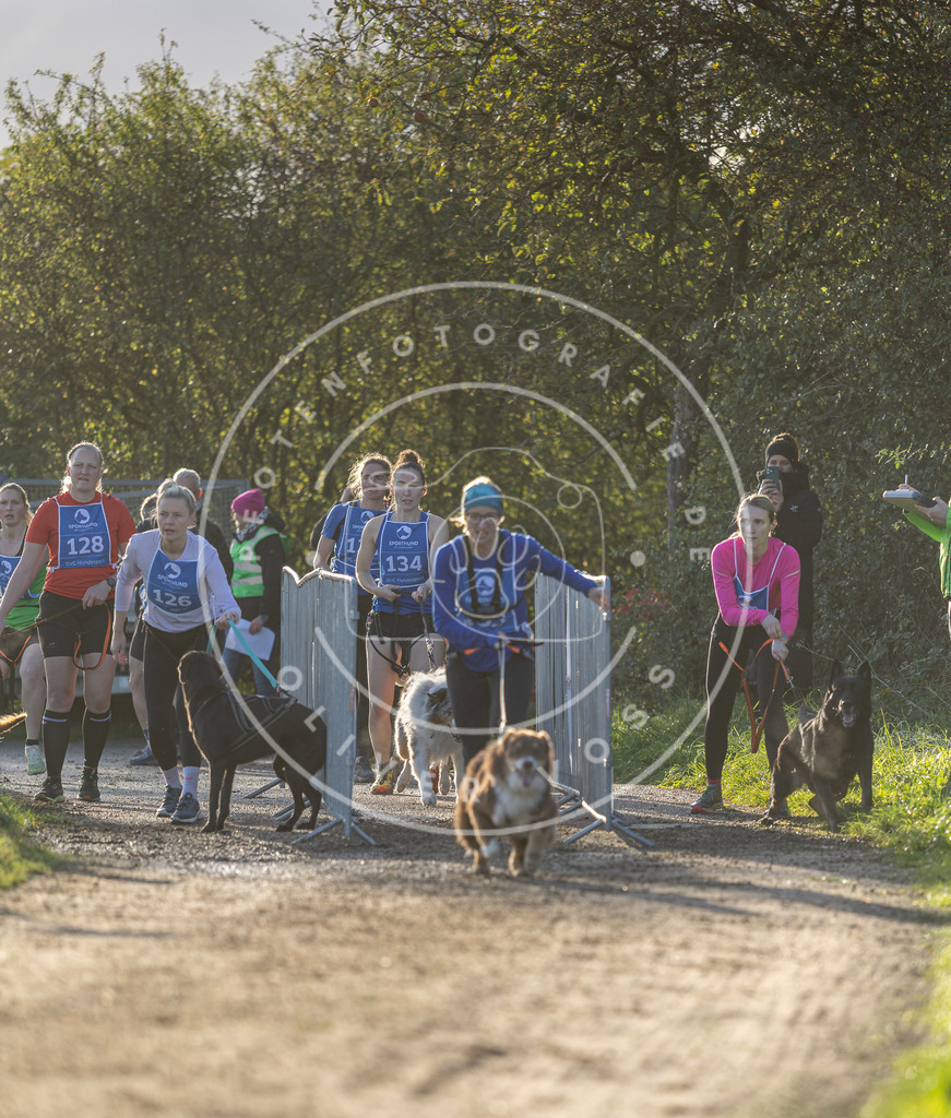 Pfotenfotografie.de_DV3A2895 | Hundefotografie, Tierfotograf, Pfotenfotografie, Fotoshooting Hund, Hunde Portrait, Hundesport, Hundeportraits, Heideshooting, Hunde, Sportfotograf, Hundefotograf, Turnierhundsport, THS, canicross - Realisiert mit Pictrs.com