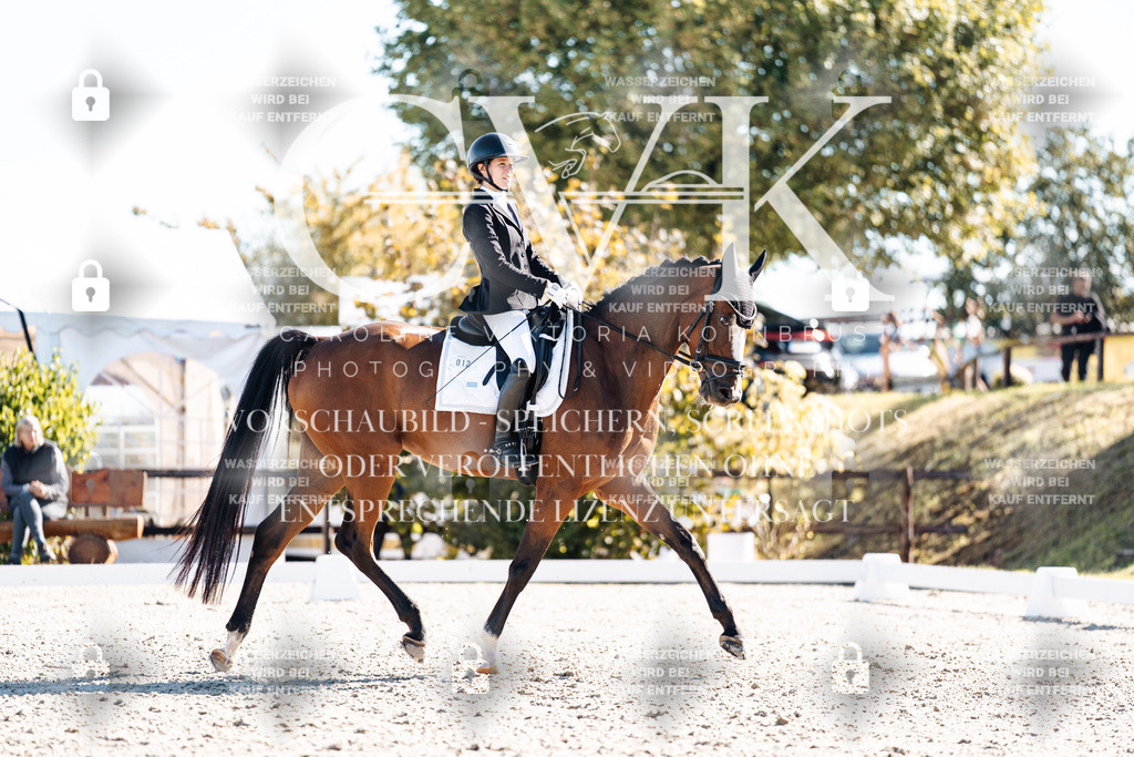 CK908623 | Turnierfotografie Pferdefotografie Trier Rheinland-Pfalz Pferdesport Reitsport Tierfotografie Sportfotografie Pferdevideo Pferdevideografie Equestrianvideography equestrianphotography  - Realisiert mit Pictrs.com