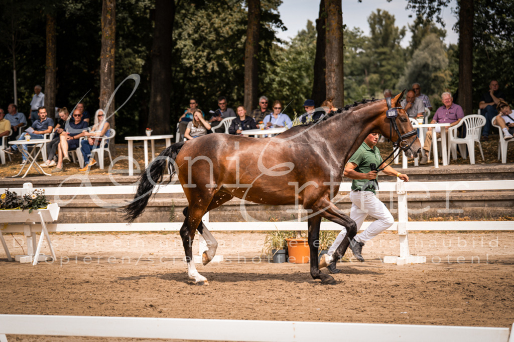 2. Fr00132 | Leoni Ertmer Photography - Realisiert mit Pictrs.com