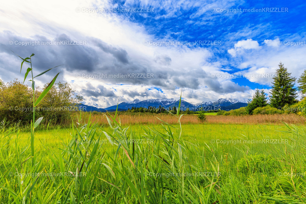 Hopfensee | medienkrizzler - Realisiert mit Pictrs.com