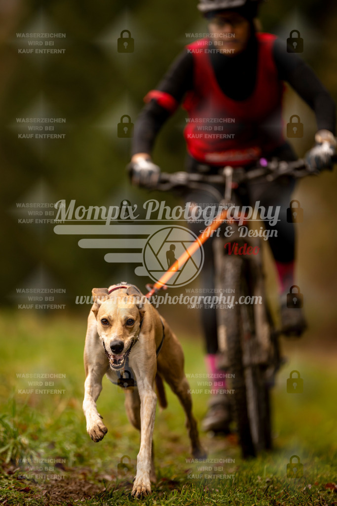 MompixPhotography_2SSTSSBW_2025_SO_Bike-40 | PayLife