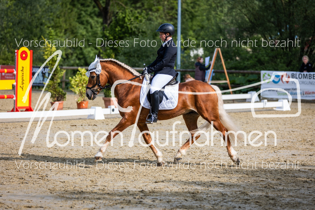 Donop24-A-Dre-135 | MomenTaufnahmen Pferdesportfotos