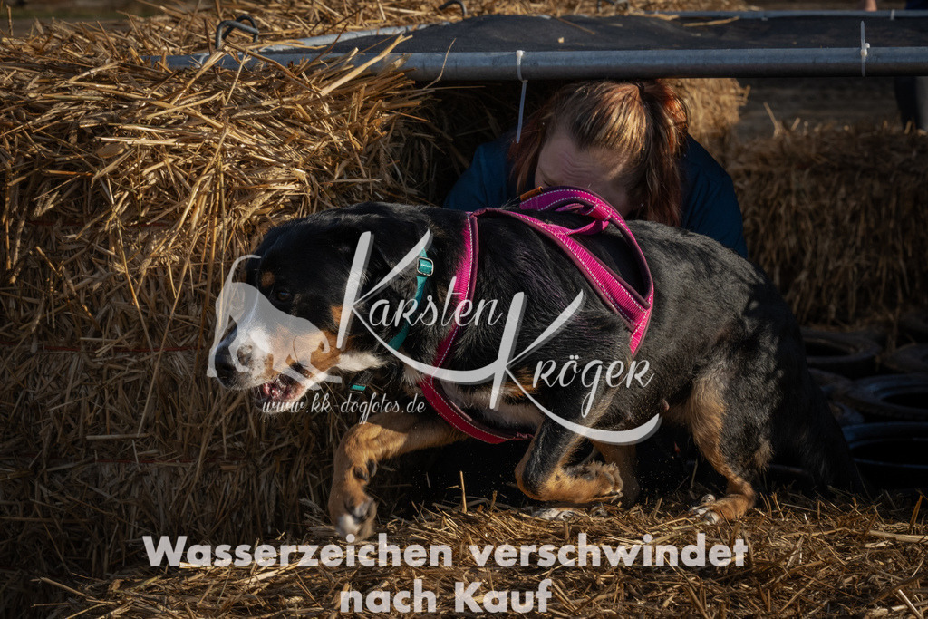 0946_ZZ94631 | kk-dogfotos