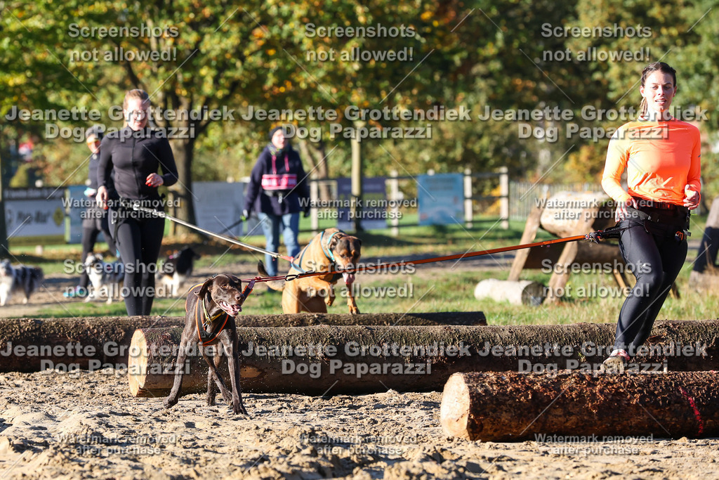 Dog Paparazzi - Strongdog 10-25-1185 | Dog Paparazzi Jeanette Grottendiek Fotografie & Videografie - Realisiert mit Pictrs.com