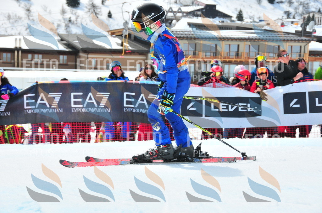 DSC_2597 | holidayphoto