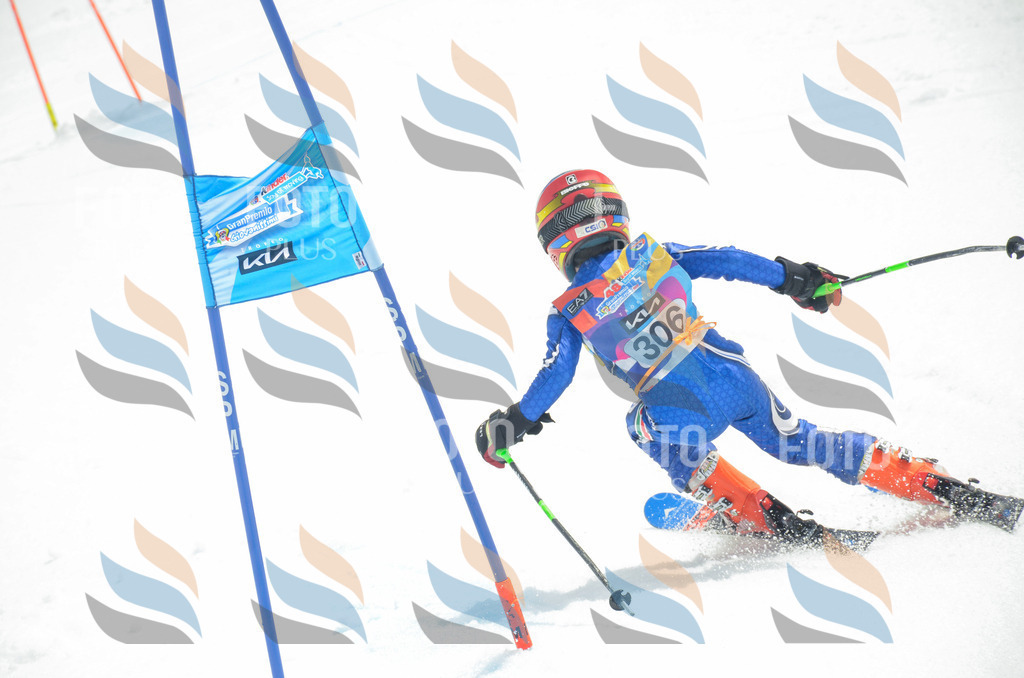 _ELE8336 | holidayphoto