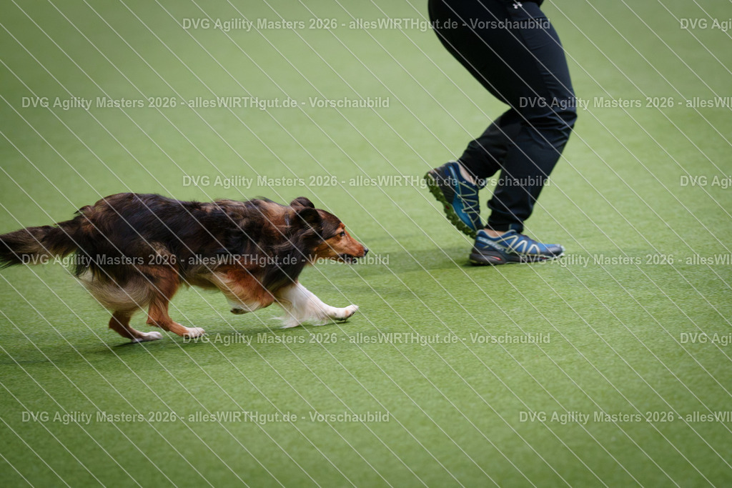 allesWIRTHgut_Tierfotografie-DVG_Agility_Masters_2026-13_50-7R500091 | Professionelle Tierfotografie in Mönchengladbach von Daniel Wirth (allesWIRTHgut). Liebevolle & natürliche Bilder von Hunden & Katzen für unvergessliche Erinnerungen.